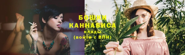 СК Дмитриев