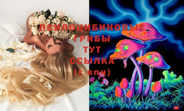 СК Дмитриев