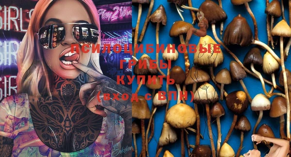 СК Дмитриев