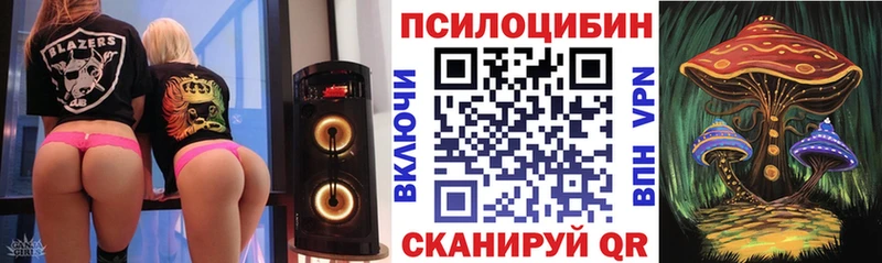 Купить Аркадак Псилоцибиновые грибы Cubensis